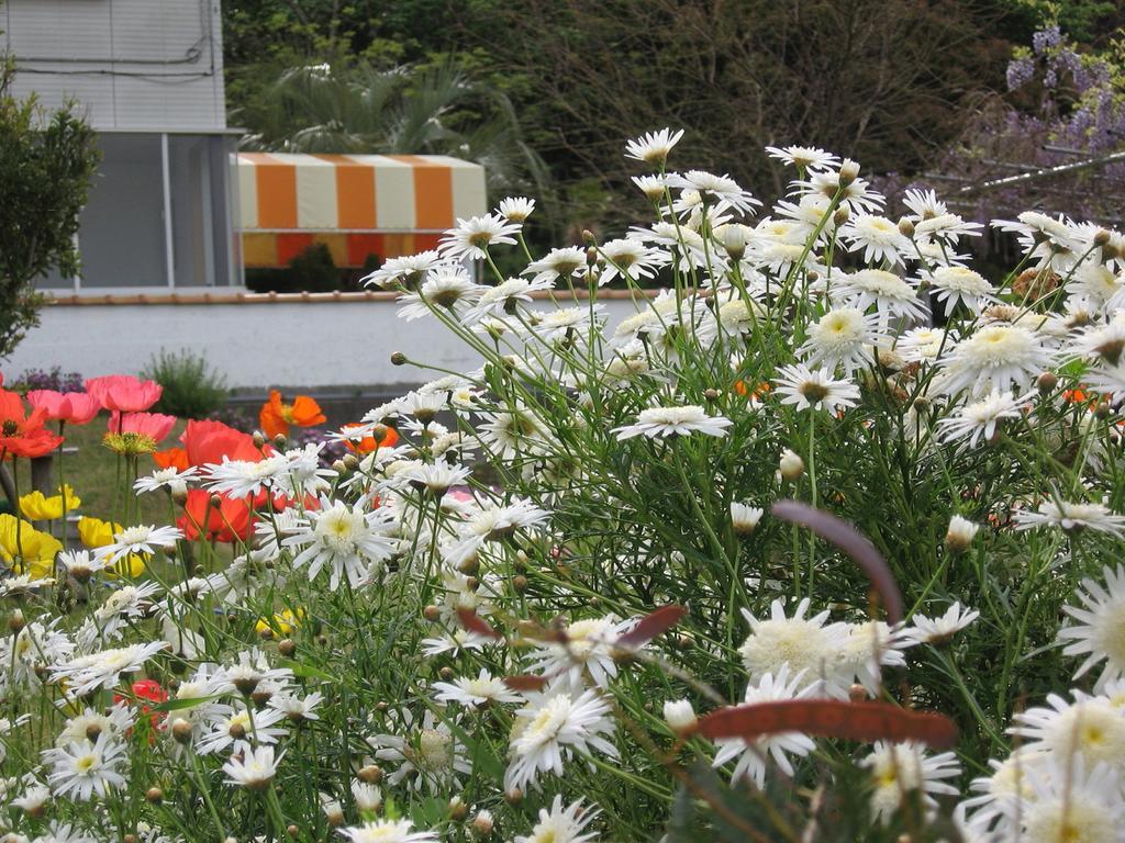 Hillside Inn Sirocco Tateyama  Exterior foto